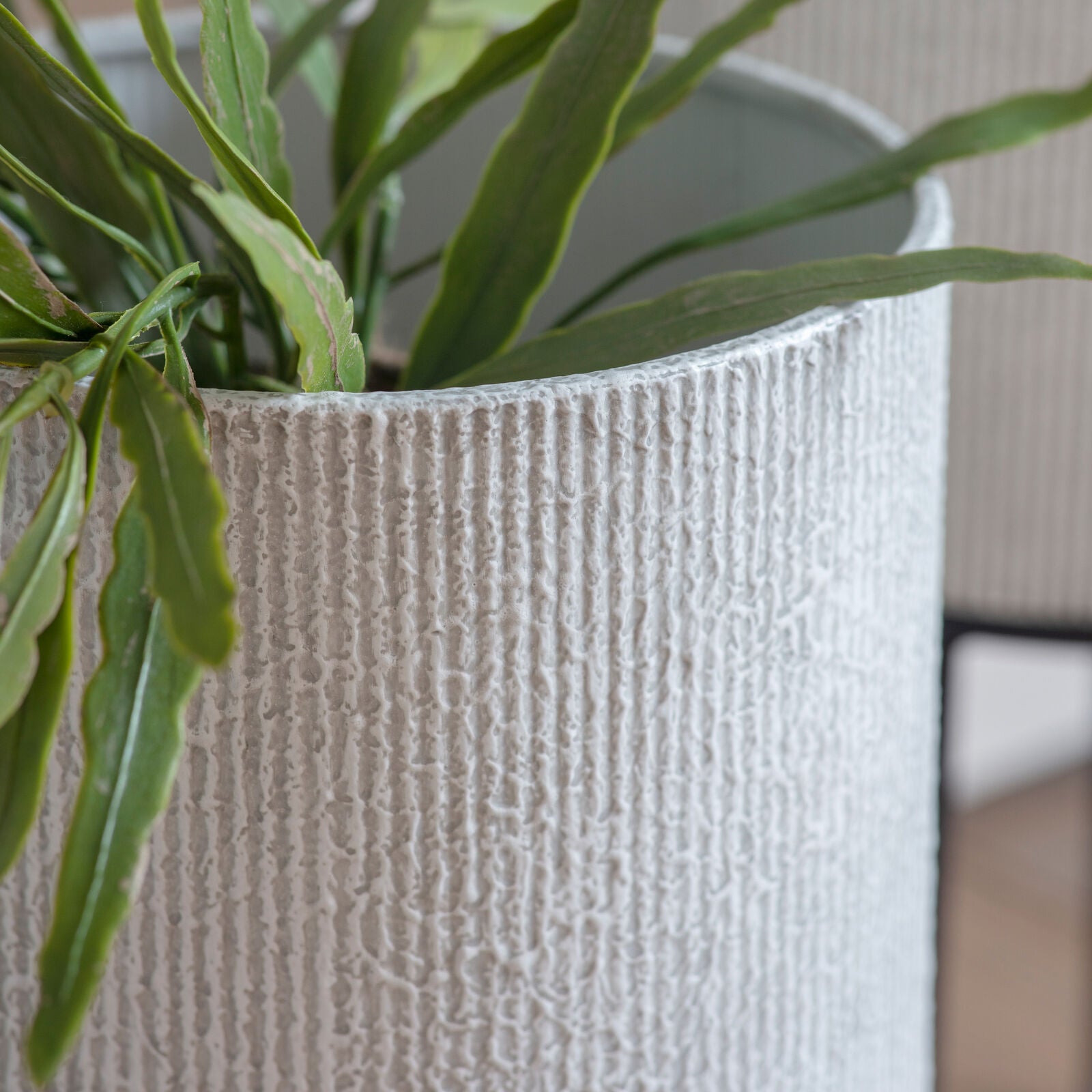 Baskets & Planters Collection